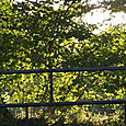 Vue du Haras du Lozon
