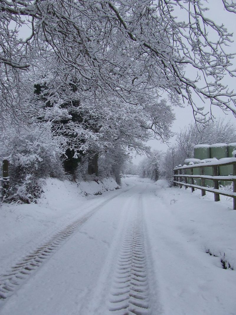 Haras sous la neige2