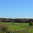 Paddock Haras du Lozon 3